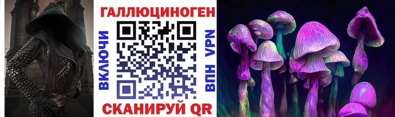 мега зеркало Ясногорск Псилоцибиновые грибы мицелий
