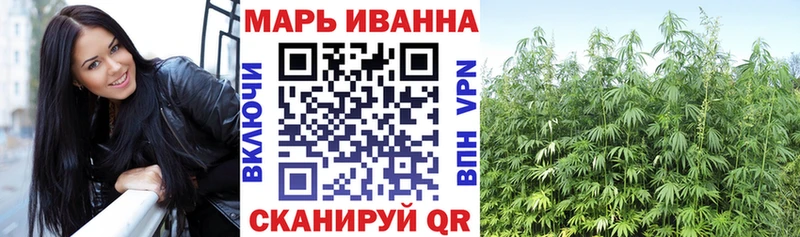 где купить наркоту  Ясногорск  Конопля гибрид 